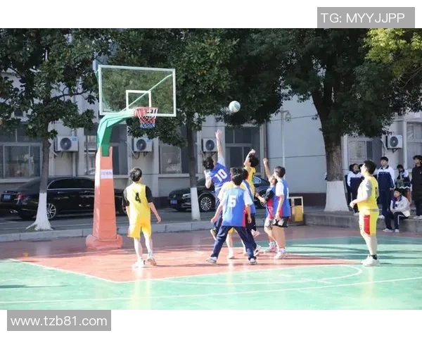 在阳光下挥洒汗水我学会了打篮球的快乐与成长