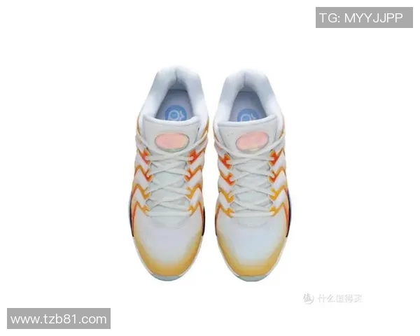 大学生篮球鞋选购指南如何挑选适合自己的篮球鞋提升运动表现与舒适度